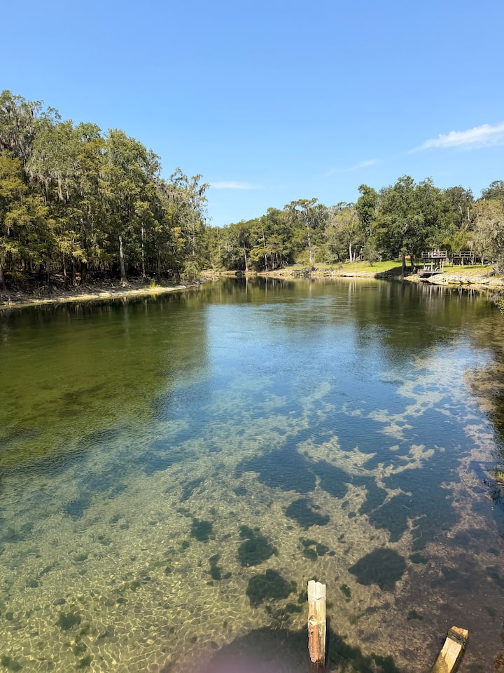 Clear spring-fed river lined with cypress trees